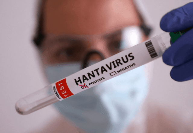 Imagem da noticia Surto de hantavírus: sobe para 6 o número de casos confirmados em navio de cruzeiro