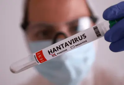 Surto de hantavírus: sobe para 6 o número de casos confirmados em navio de cruzeiro Surto de hantavírus: sobe para 6 o número de casos confirmados em navio de cruzeiro