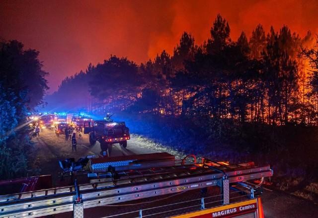 Imagem da noticia Em meio a onda de calor na Europa, ONU pede ação para evitar "suicídio coletivo"