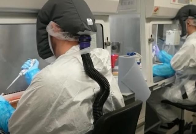Imagem da noticia Covid-19: cientistas avaliam eficácia das vacinas contra variante Ômicron