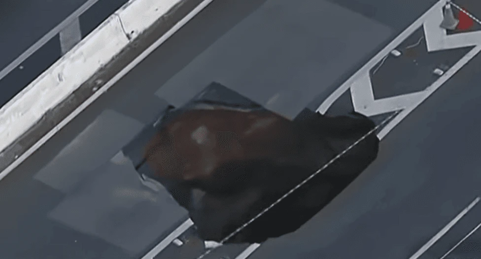 Imagem da noticia SP: Após 11 meses, Sabesp conclui obra em cratera aberta na Marginal Tietê