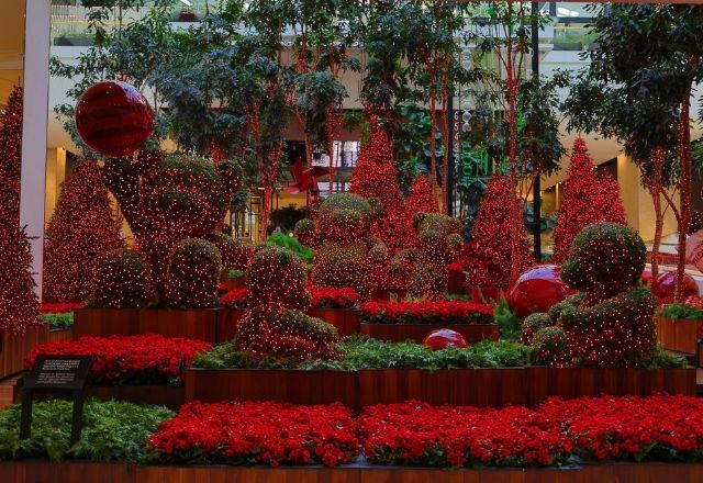 Imagem da noticia Shopping abre hoje? Veja quais funcionam no Natal em SP