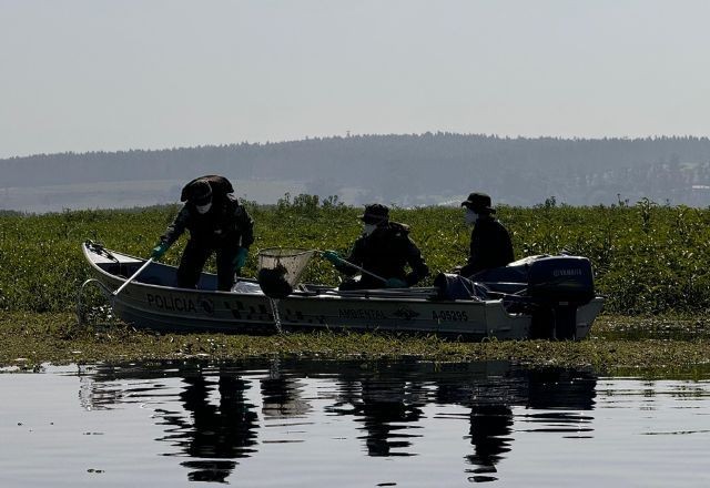 Imagem da noticia Defesa Civil usa tratores aquáticos para retirar toneladas de peixes mortos do Rio Piracicaba