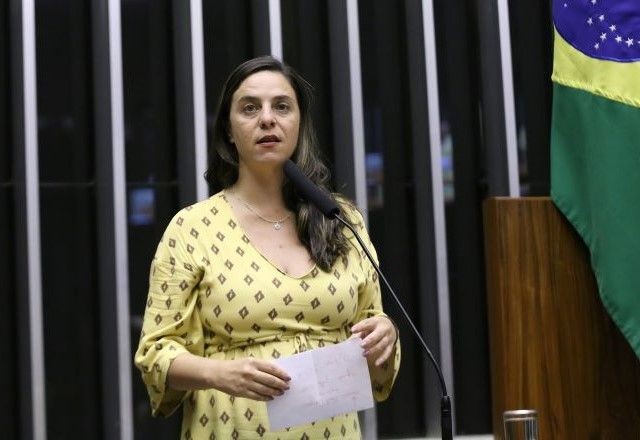 Imagem da noticia Deputada do PSOL propõe crédito de R$ 6,3 bilhões para ressarcimento de vítimas de golpes no INSS