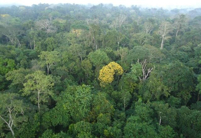 Imagem da noticia Senado aprova lei com novas regras para licenciamento ambiental