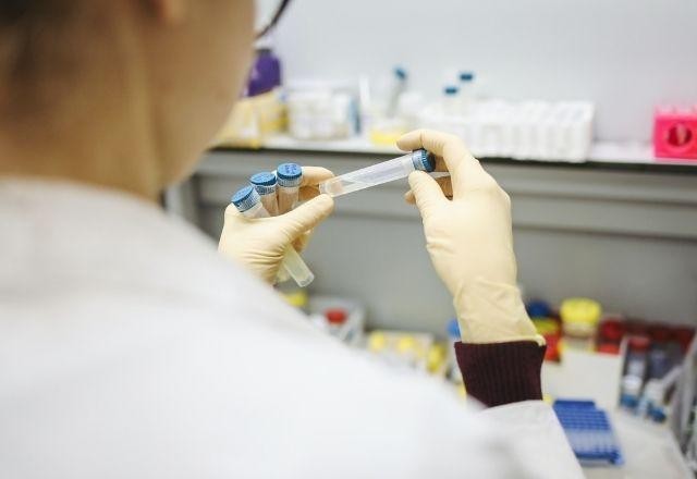 Imagem da noticia Vacina da dengue apresenta imunogenicidade superior a 90%
