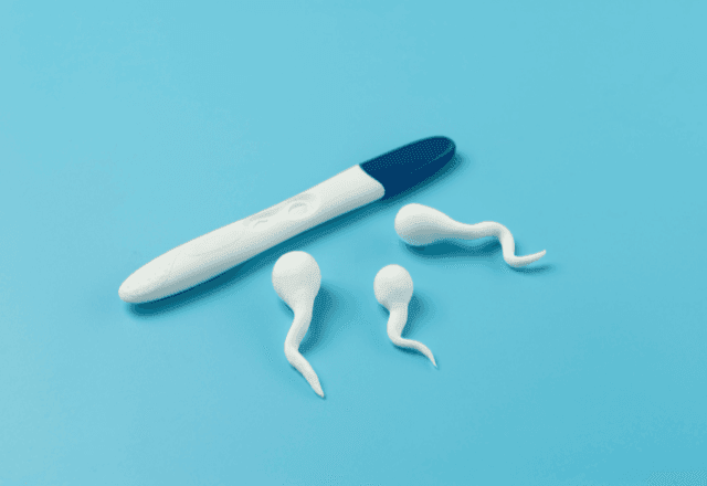 Imagem da noticia Inseminação artificial ou fertilização in vitro? Entenda as diferenças e qual a melhor opção