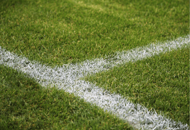 Imagem da noticia Turquia amplia operação contra apostas ilegais e manipulação no futebol profissional