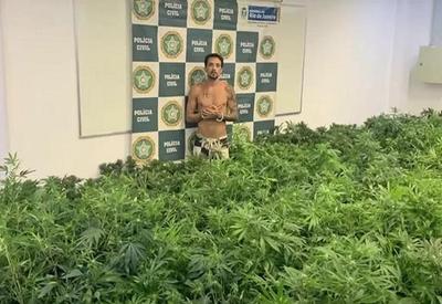 "Rei da maconha" é preso com mil pés do entorpecente "Rei da maconha" é preso com mil pés do entorpecente