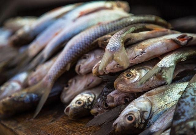 Imagem da noticia Entenda o que é a 'doença da urina preta' que atinge Bahia e Amazonas