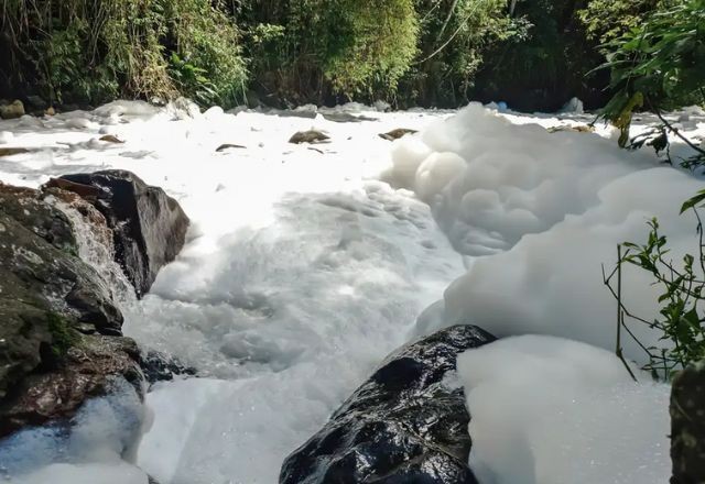Imagem da noticia Após vazamento de ácido sulfônico em rio, Joinville decreta situação de emergência