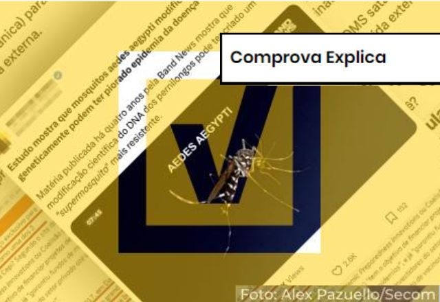 Imagem da noticia EXPLICA: Entenda como age o mosquito da dengue geneticamente modificado