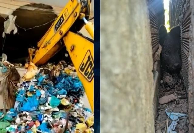 Imagem da noticia Acumulador com mais de 250 kg fica preso na própria casa e é resgatado