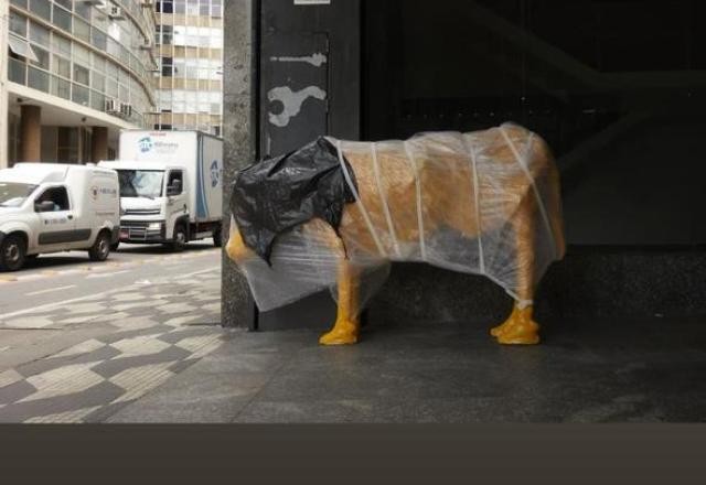 Imagem da noticia "Resposta crítica aos cenários econômicos", diz autora de 'Vaca magra'