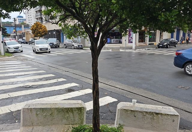 Imagem da noticia São Paulo entra em estado de atenção para alagamentos