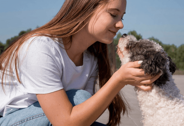 Imagem da noticia Quer que seu cachorro preste atenção aos seus comandos? Pesquisa revela a melhor técnica