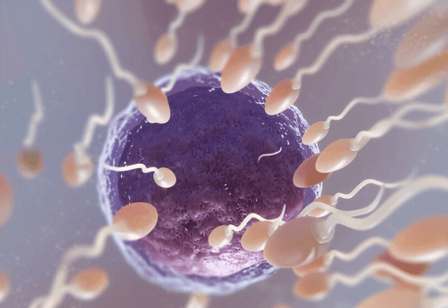 Imagem da noticia Novidade na medicina reprodutiva: entenda o que é o exame pré-implantacional