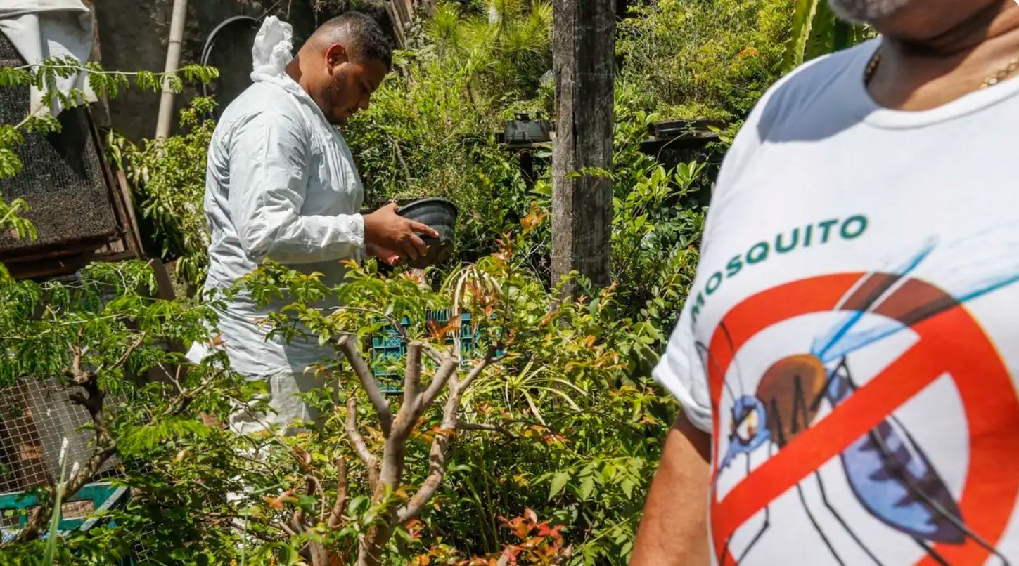 Imagem da noticia Epidemia de dengue chega ao fim na cidade do Rio, mas é mantida no Estado