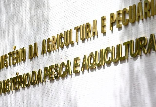 Imagem da noticia Gripe aviária: Paraná decreta emergência zoossanitária
