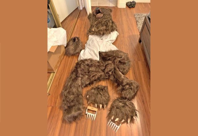 Imagem da noticia Homem se fantasia de urso para destruir carro e conseguir dinheiro do seguro