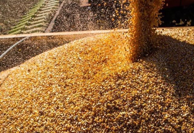 Imagem da noticia Ministério da Fazenda projeta desaceleração da economia em 2025 e alta de 2,3% no PIB