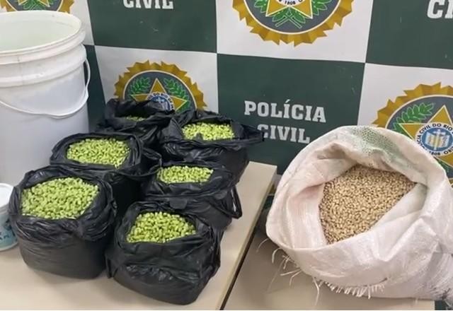Imagem da noticia Homem é preso por pintar feijão fradinho para vender como feijão de corda