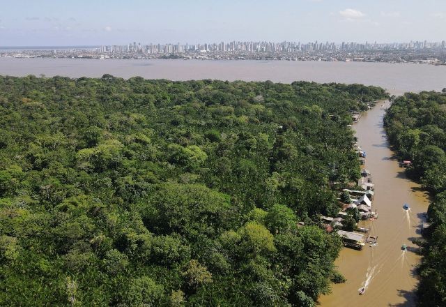 Imagem da noticia COP30: Alemanha apoia ideia do Brasil para fundo florestal, diz agência