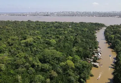 COP30: Alemanha apoia ideia do Brasil para fundo florestal, diz agência COP30: Alemanha apoia ideia do Brasil para fundo florestal, diz agência