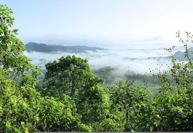 Imagem da noticia Empresários brasileiros enviam carta a políticos dos EUA