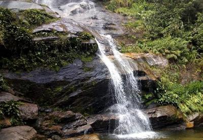 Floresta da Tijuca: Conheça o parque Nacional mais visitado do Brasil Floresta da Tijuca: Conheça o parque Nacional mais visitado do Brasil