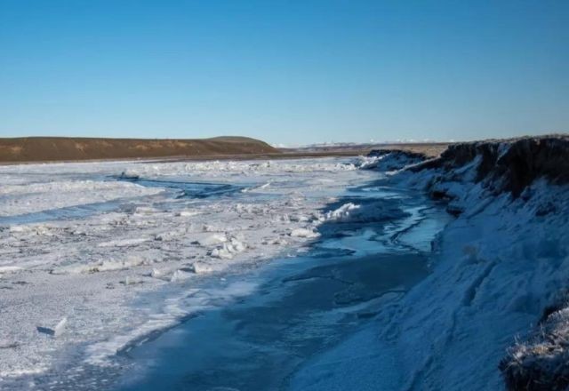 Imagem da noticia Frio de até -17 ºC congela mar no sul da Argentina