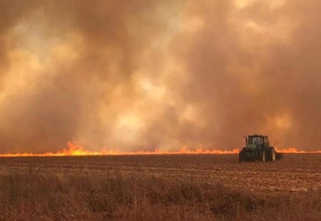 Imagem da noticia Queimadas: governo de SP estima prejuízo de R$ 1 bilhão na agropecuária