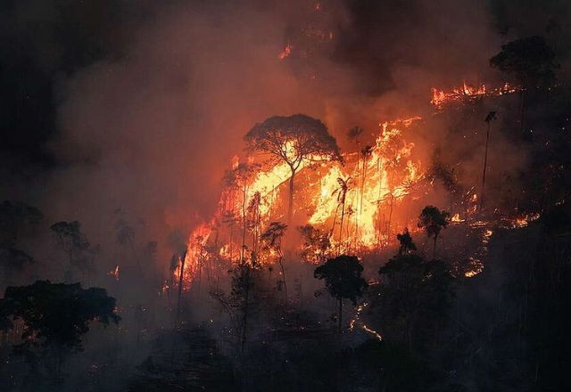 Imagem da noticia Com queimadas, desmatamento na Amazônia aumenta pelo terceiro mês consecutivo