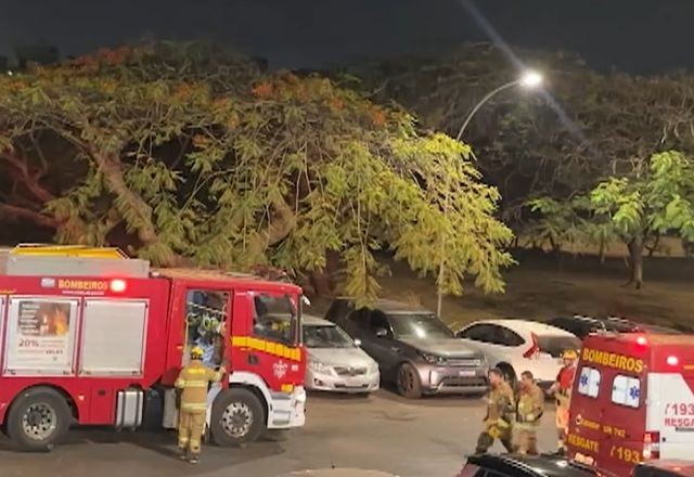 Imagem da noticia Mãe é presa após deixar filha com deficiência trancada em carro no DF