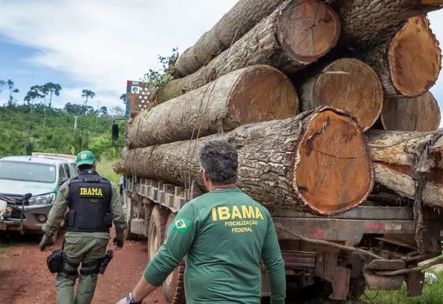 Imagem da noticia Extração ilegal de madeira registra alta de 19% na Amazônia