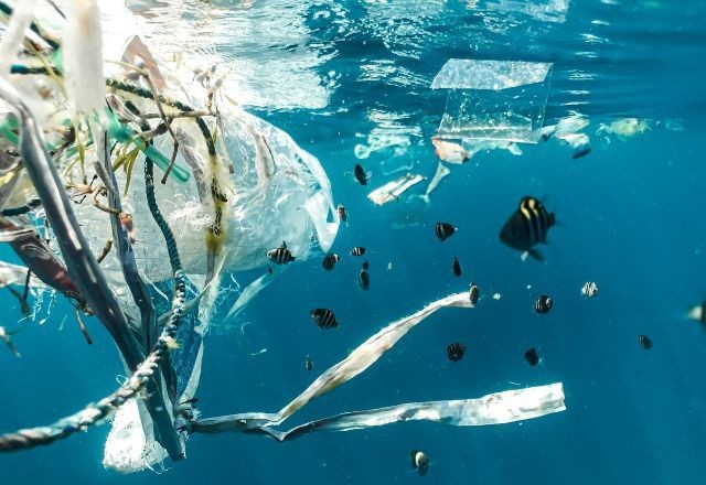 Imagem da noticia Brasil é 8º maior poluidor de plástico do mundo, diz estudo