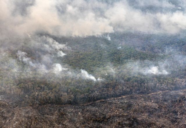 Imagem da noticia Desmatamento na Amazônia cresce pelo quinto mês consecutivo