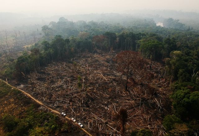 Imagem da noticia Taxa de desmatamento na Amazônia Legal cai 6% em maio