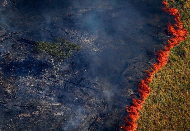 Imagem da noticia Ministério do Meio Ambiente critica PL do licenciamento ambiental e promete ações contra texto