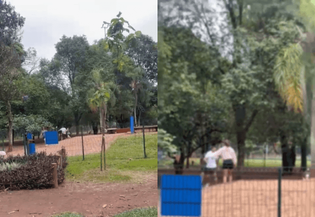 Imagem da noticia VÍDEO: dono de pitbull agride casal em área para cães no parque Ibirapuera, em SP
