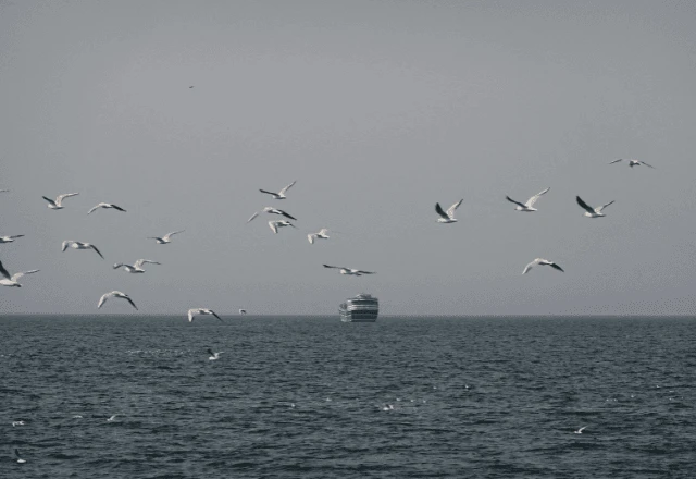 Imagem da noticia Guerra contra Irã ameaça atingir de forma prolongada os mercados globais de energia