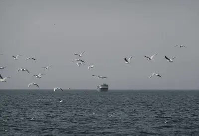 Brasil está numa situação 'muito tranquila', diz ex-secretário do Comércio Exterior ao comentar conflito no Irã Brasil está numa situação 'muito tranquila', diz ex-secretário do Comércio Exterior ao comentar conflito no Irã