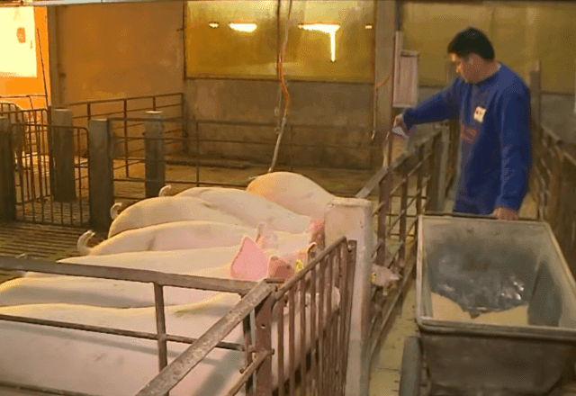 Guerra no Oriente Médio preocupa exportadores brasileiros e encarece produção no agro Guerra no Oriente Médio preocupa exportadores brasileiros e encarece produção no agro