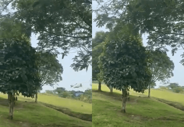 Imagem da noticia Vídeo registra avião militar colombiano perdendo altitude antes de explodir no solo; veja