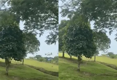 Vídeo registra avião militar colombiano perdendo altitude antes de explodir no solo; veja Vídeo registra avião militar colombiano perdendo altitude antes de explodir no solo; veja