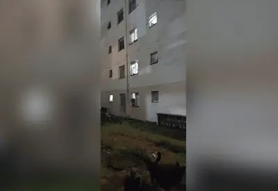 Mulher pula de prédio com a filha de 2 anos no colo para escapar do marido em Suzano (SP) Mulher pula de prédio com a filha de 2 anos no colo para escapar do marido em Suzano (SP)
