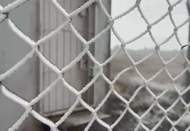 Imagem da noticia SC tem primeiro registro de neve no ano e temperaturas negativas