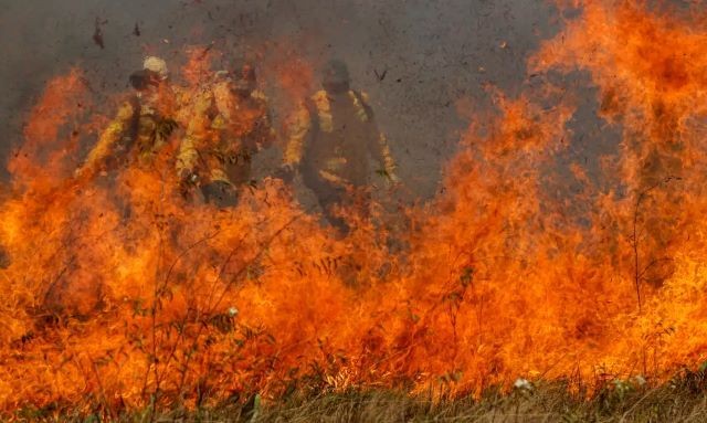 Imagem da noticia Comitiva de ministros planeja viagem para inspecionar combate a incêndios no Pantanal