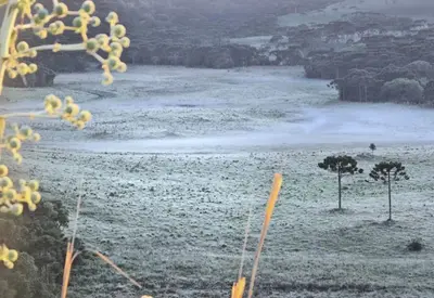 Geada atinge Santa Catarina em dezembro e termômetros chegam a 1,4°C Geada atinge Santa Catarina em dezembro e termômetros chegam a 1,4°C