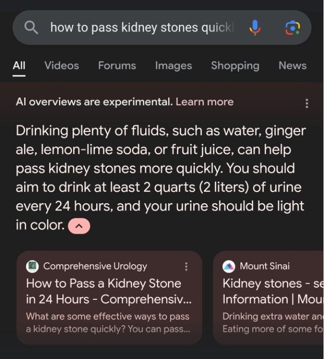 Imagem da noticia Inteligência artificial do Google recomenda aos usuários que bebam urina para eliminar pedra nos rins